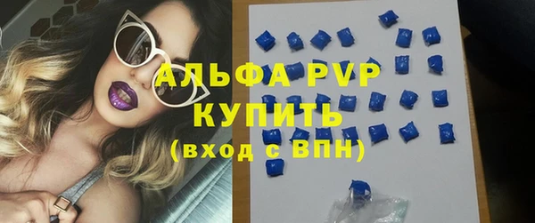 трава Сясьстрой
