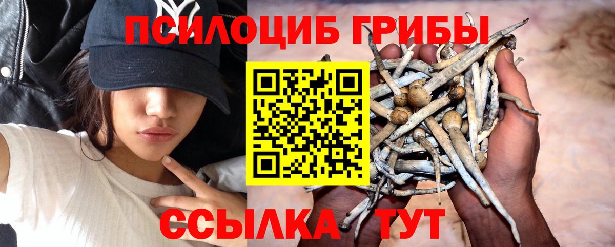 Псилоцибиновые грибы ЛСД Курчатов